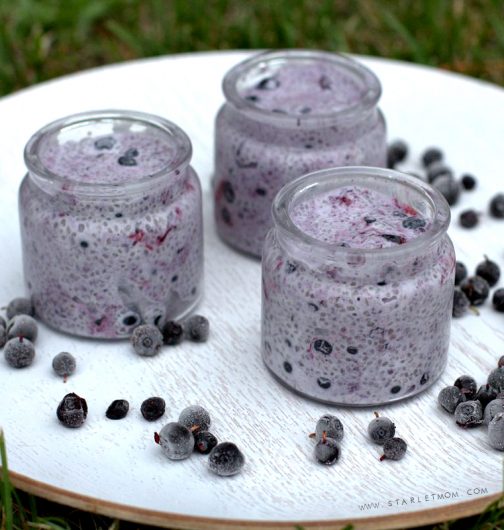 blueberry chia pudding